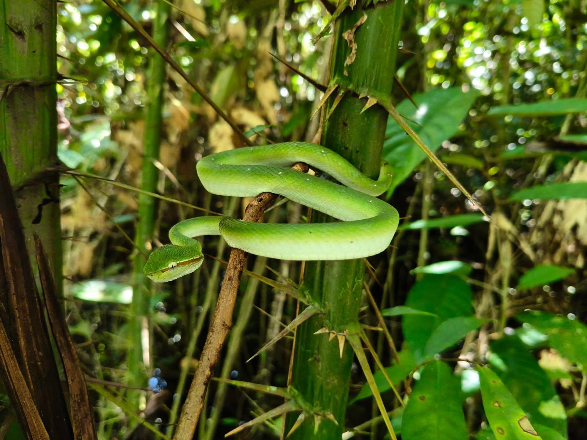 Mulu Village מראה חיצוני תמונה